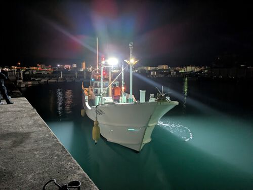 今年初の鶴丸出港